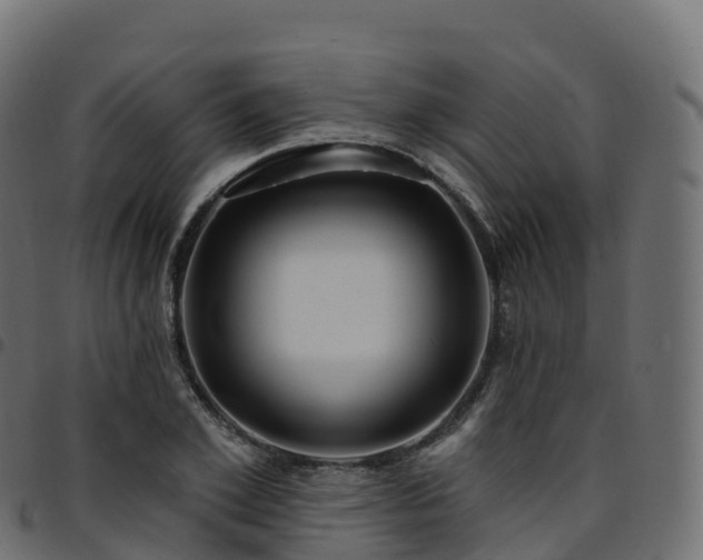 X0000094920981200711291308