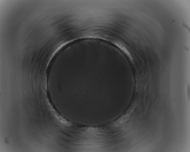 X0000094920984200711291308