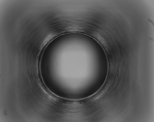 X0000094920986200711291308