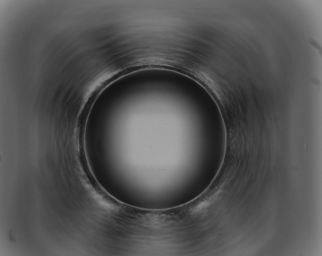 X0000094920987200711291308