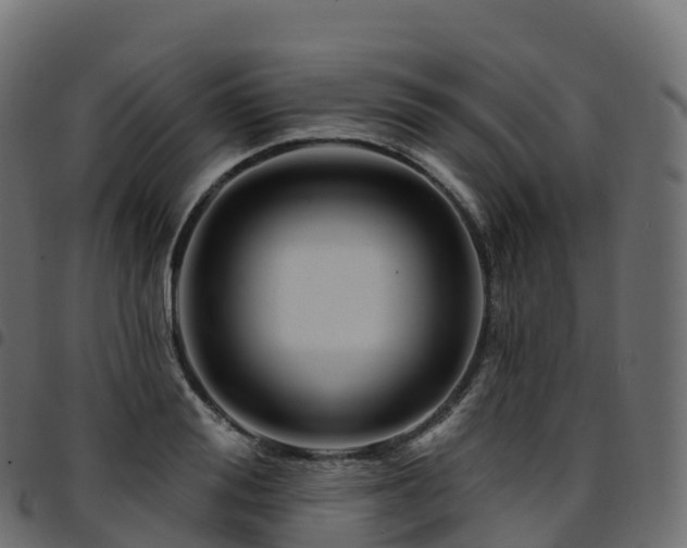 X0000094920988200711291308