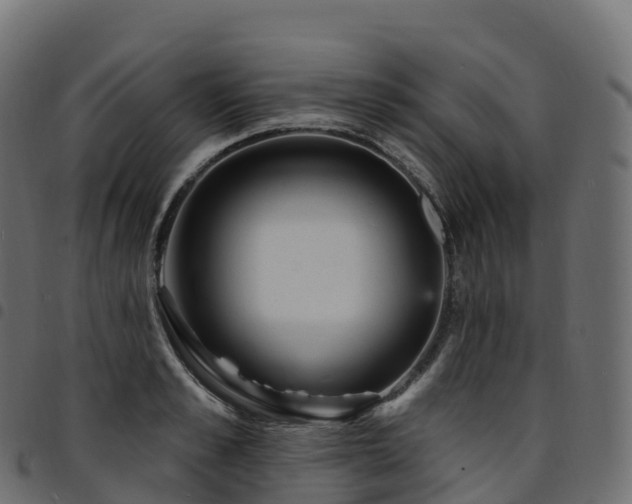 X0000094920989200711291308