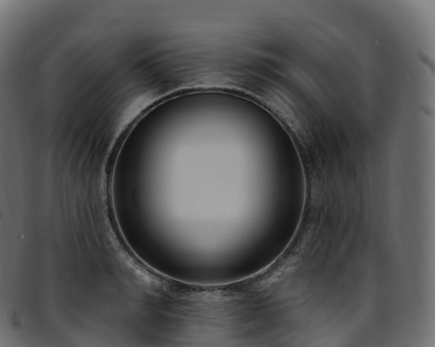 X0000094920990200711291308