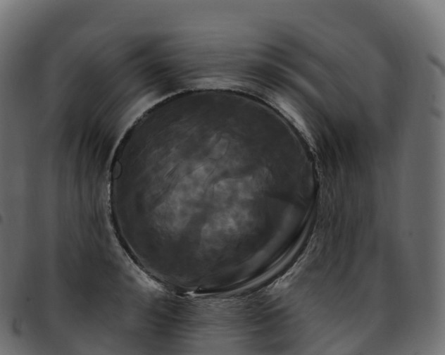 X0000094920992200711291308