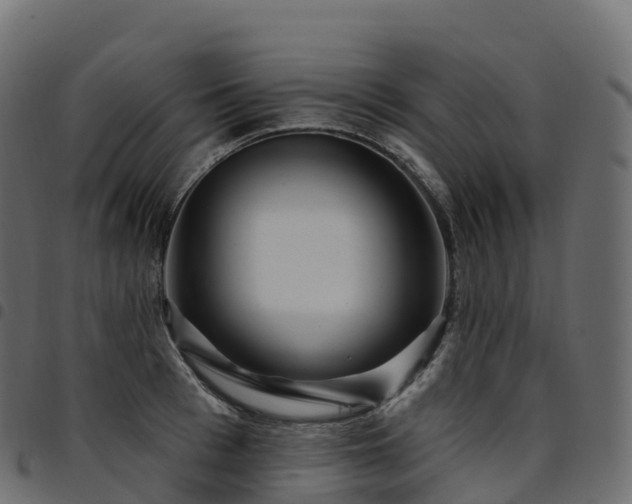 X0000094920993200711291308