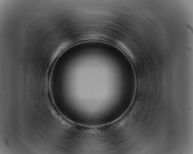 X0000094920994200711291308