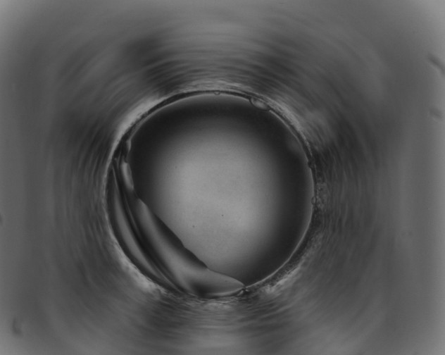 X0000094920995200711291308