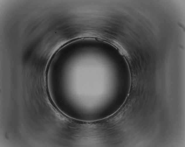 X0000094920996200711291308