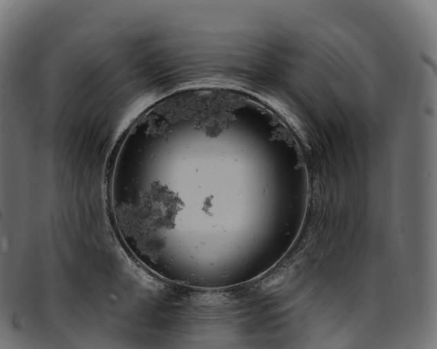 X0000094920998200711291308