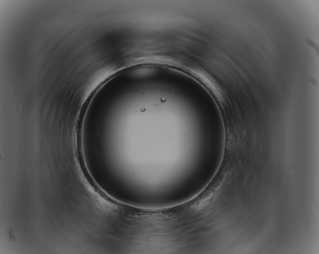 X0000094920999200711291308