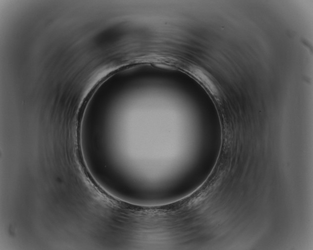 X0000094921000200711291308