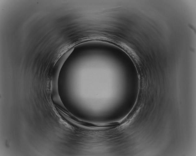 X0000094921001200711291308