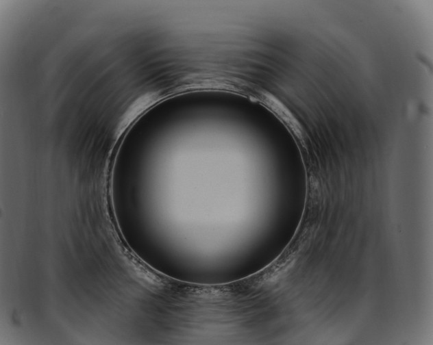 X0000094921002200711291308