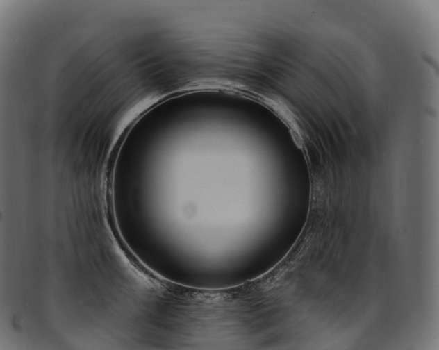 X0000094921003200711291308
