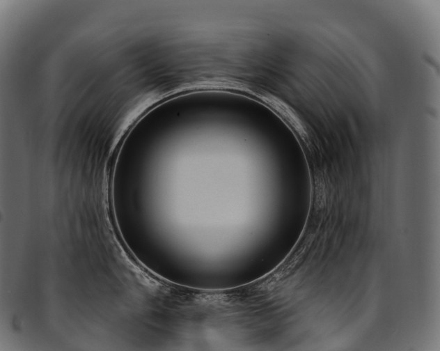 X0000094921006200711291308