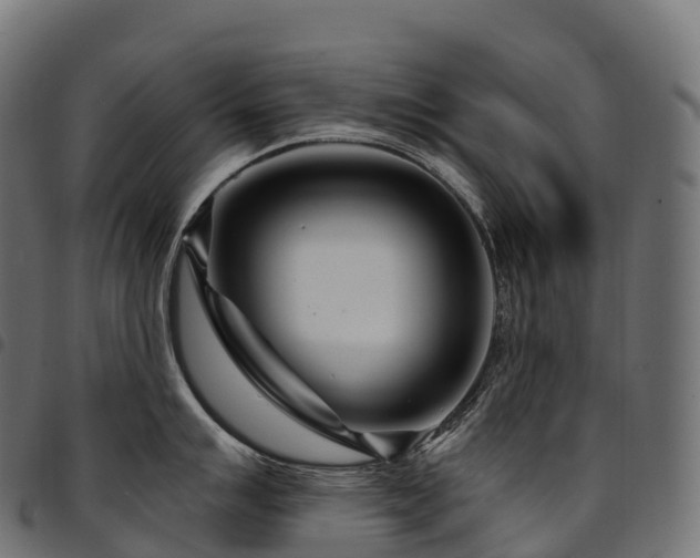 X0000094921007200711291308