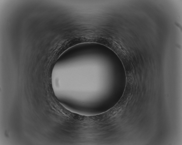 X0000094921009200711291307
