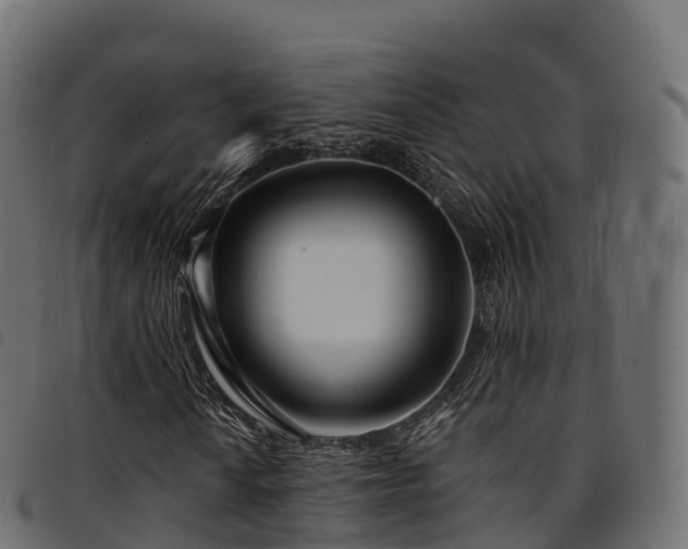X0000094921010200711291307