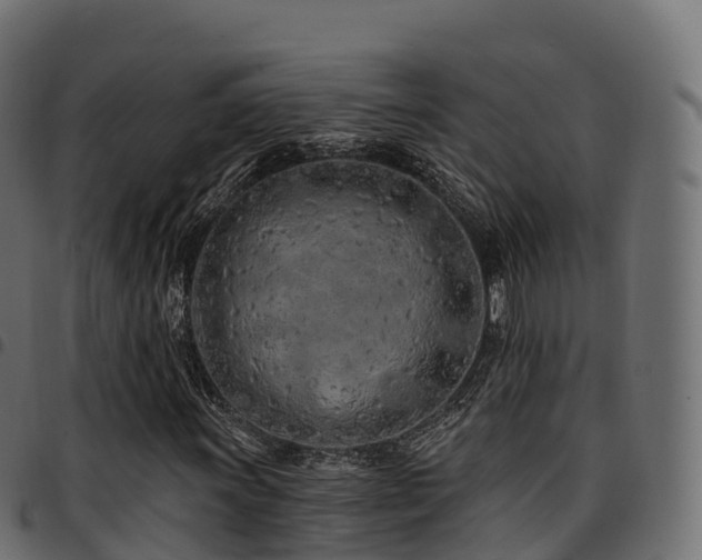 X0000094921011200711291307