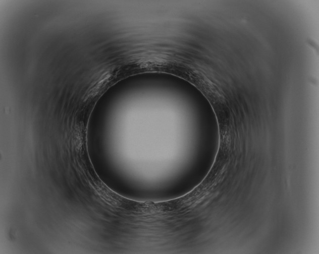 X0000094921012200711291307