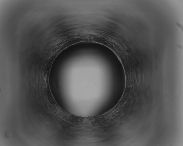 X0000094921013200711291307