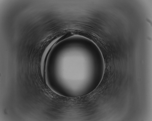 X0000094921014200711291307