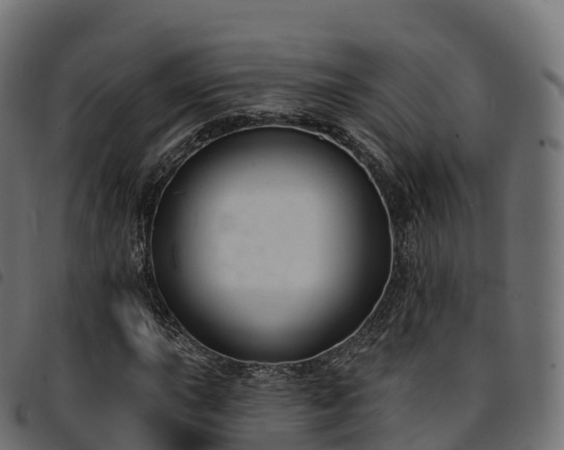 X0000094921015200711291307