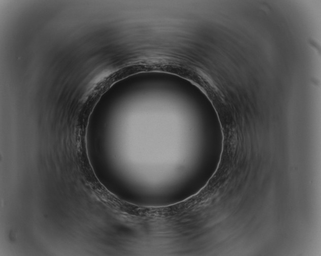 X0000094921016200711291307