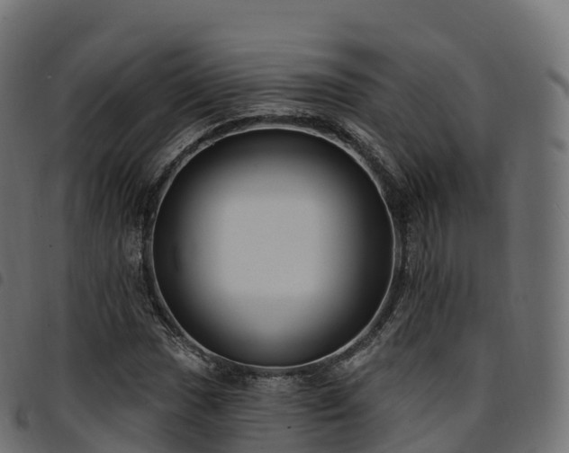 X0000094921017200711291307