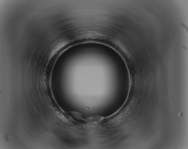 X0000094921018200711291307