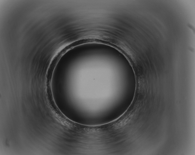 X0000094921020200711291307