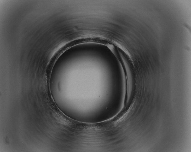 X0000094921021200711291307