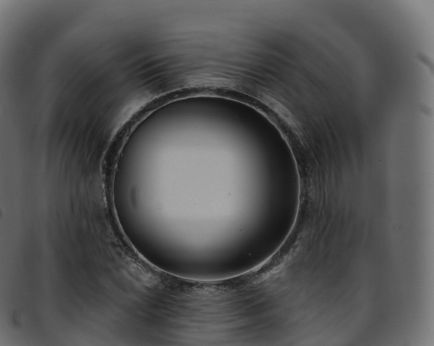 X0000094921022200711291307