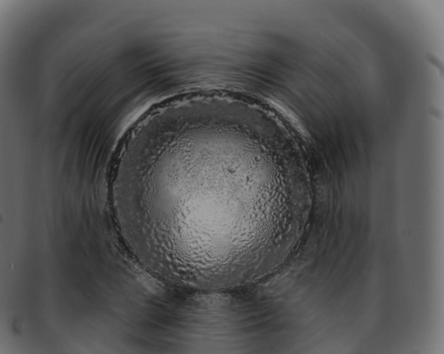 X0000094921023200711291307