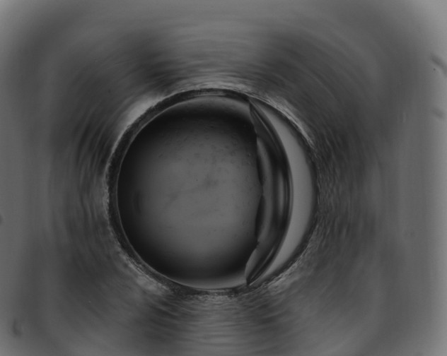 X0000094921024200711291307