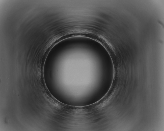 X0000094921025200711291307
