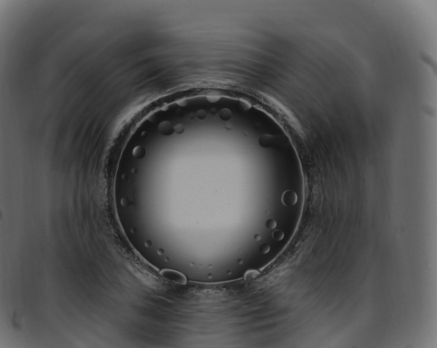 X0000094921027200711291307
