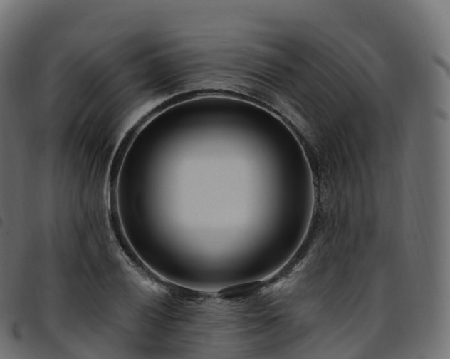 X0000094921028200711291307