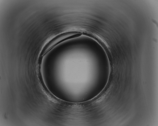X0000094921029200711291307