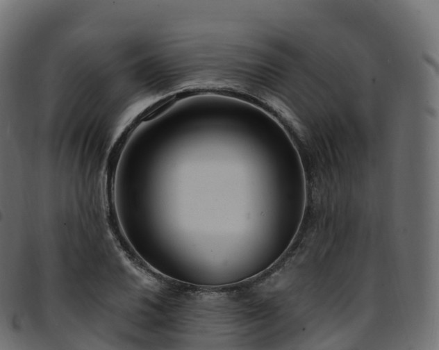 X0000094921030200711291308