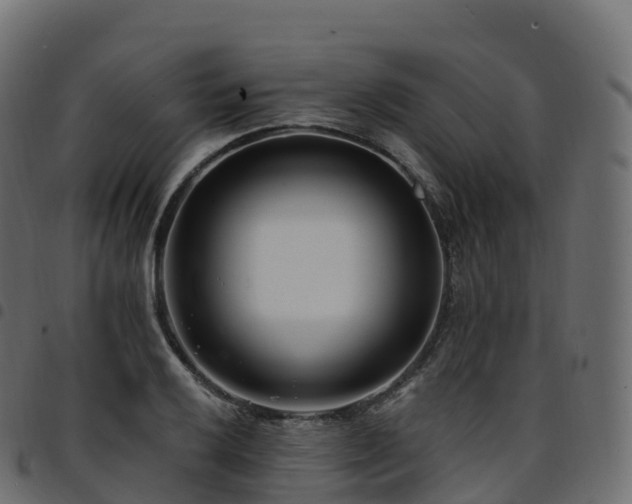 X0000094921032200711291308