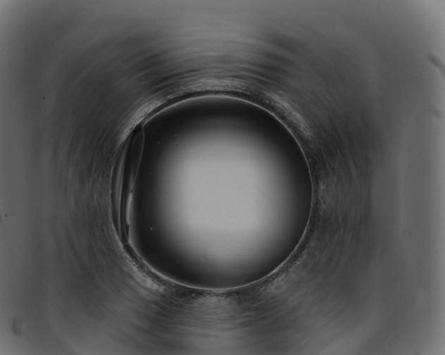 X0000094921033200711291308