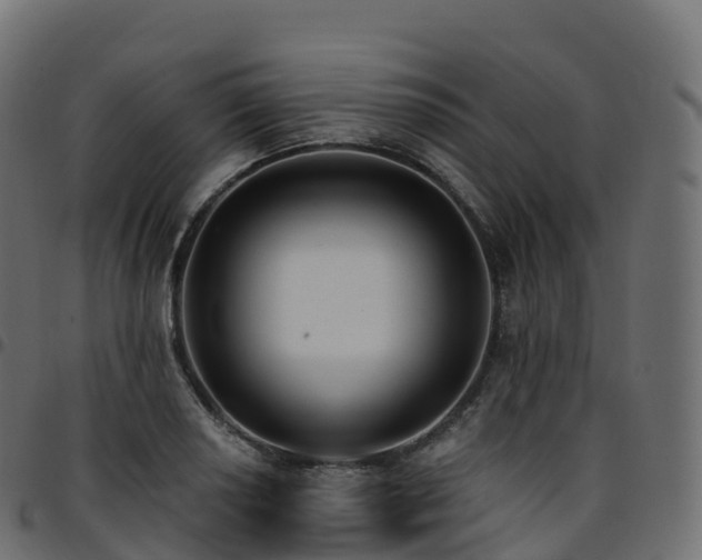 X0000094921034200711291308