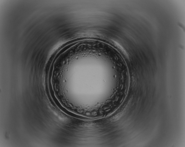 X0000094921035200711291308