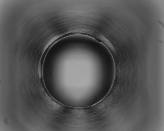 X0000094921036200711291308