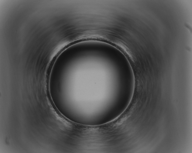 X0000094921038200711291308