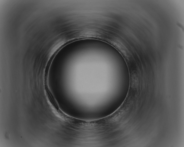 X0000094921039200711291308