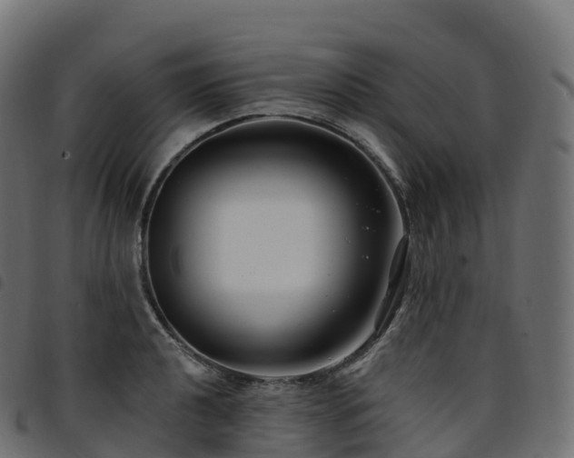 X0000094921040200711291308