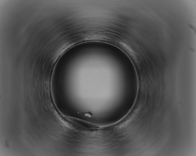 X0000094921041200711291308