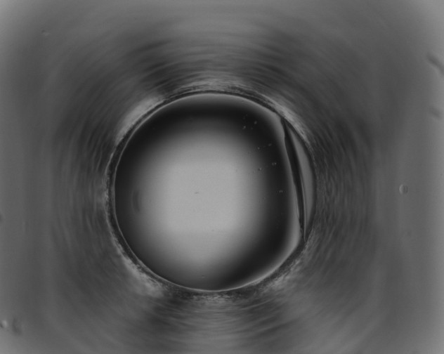 X0000094921042200711291308